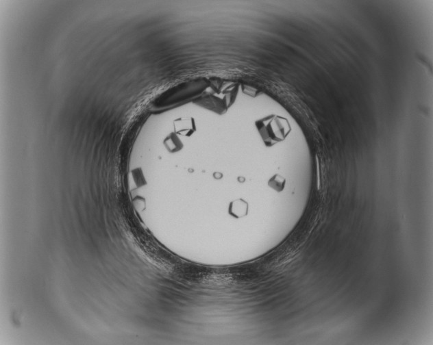 X0000100330252200806261309