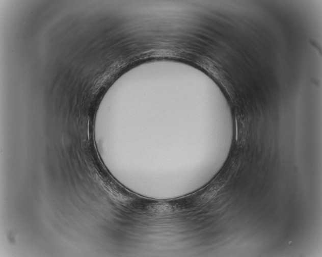 X0000100330253200806261309