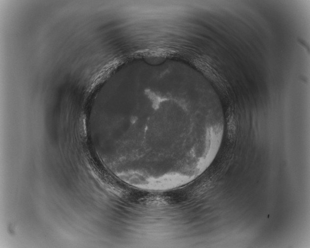 X0000100330254200806261309