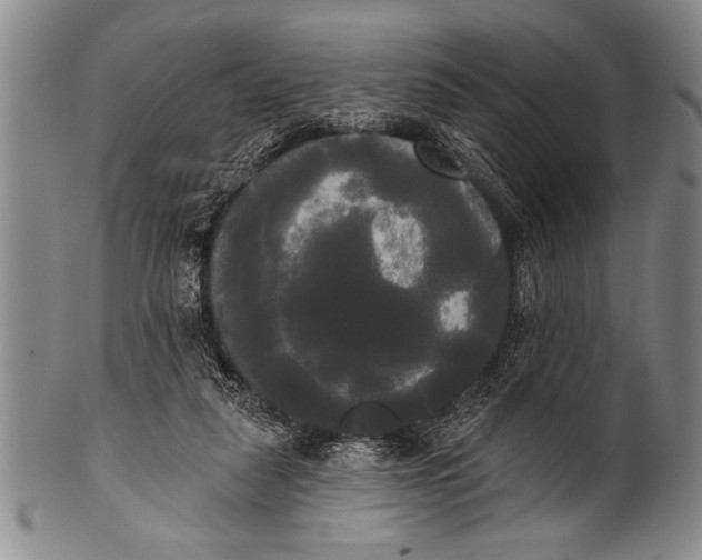 X0000100330259200806261309