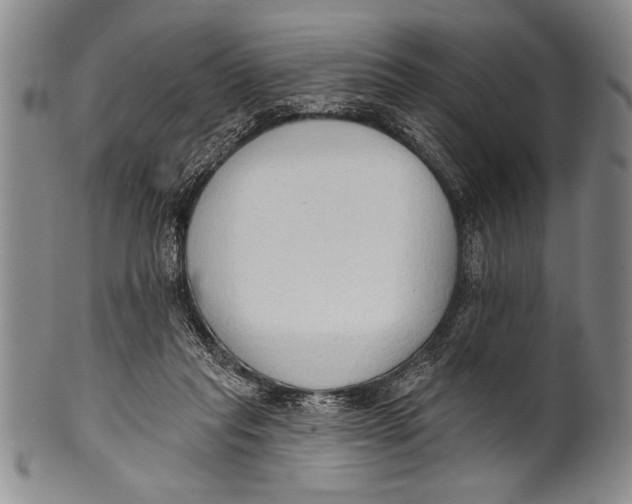 X0000100330261200806261309