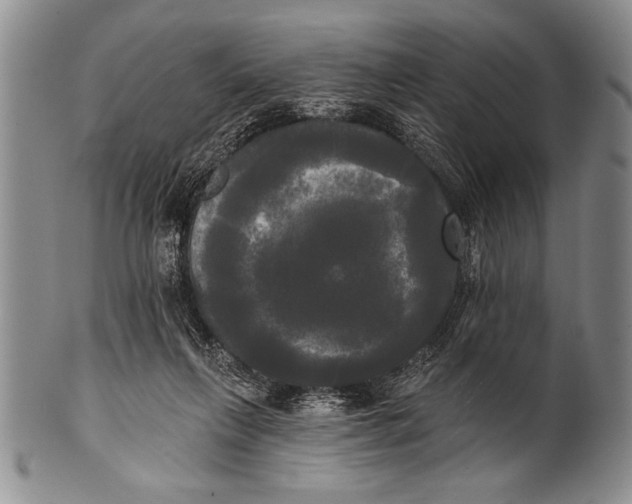 X0000100330263200806261309