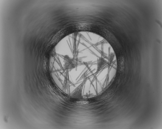 X0000100330266200806261309