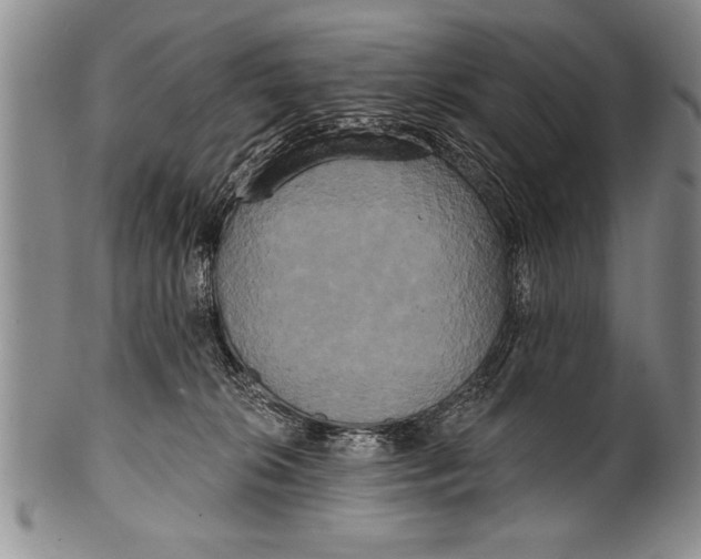 X0000100330276200806261309