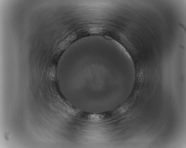 X0000100330277200806261309