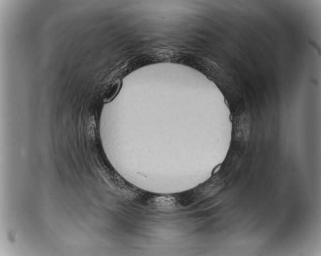 X0000100330279200806261309