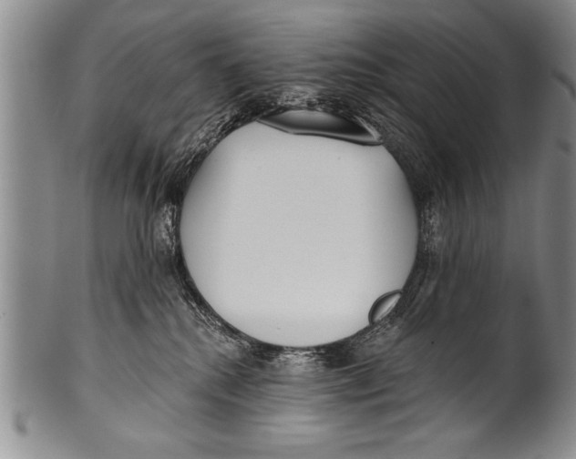 X0000100330280200806261309