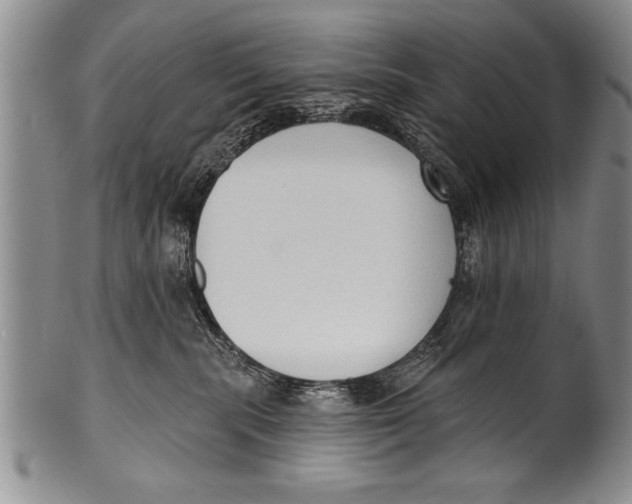 X0000100330283200806261309