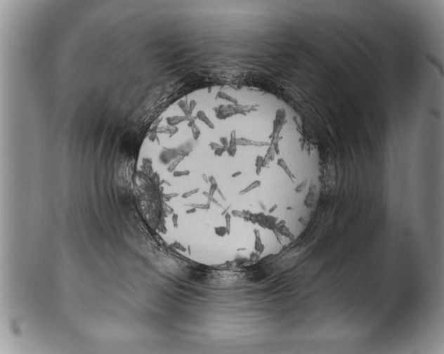 X0000100330286200806261309