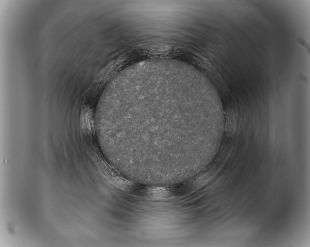 X0000100330287200806261309