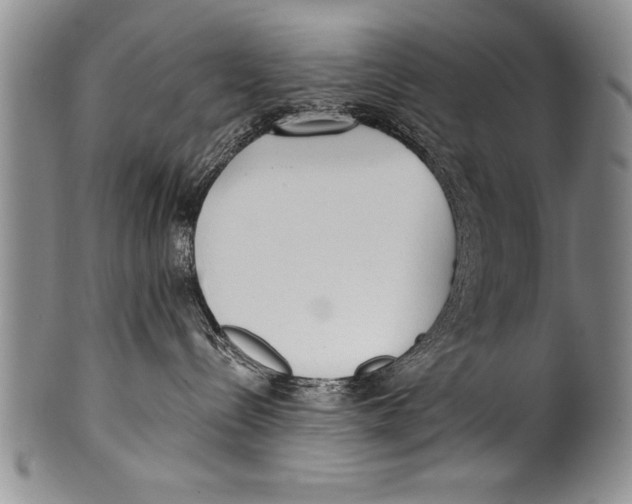 X0000100330288200806261309