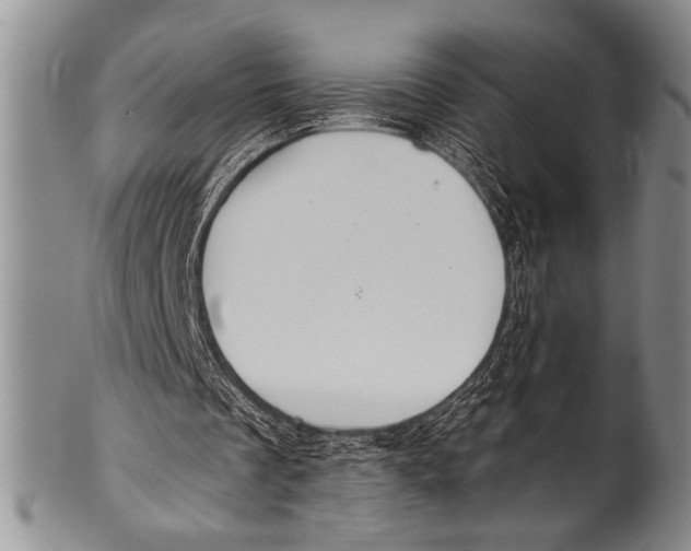 X0000100330289200806261309