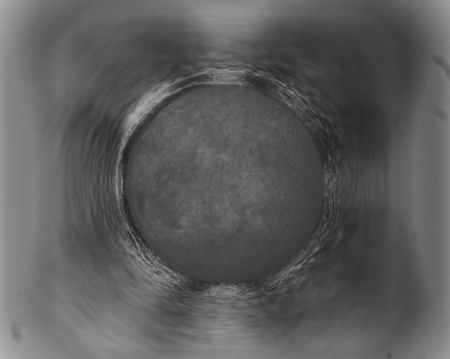 X0000100330294200806261309