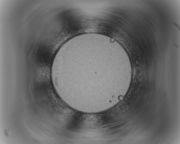 X0000100330297200806261308