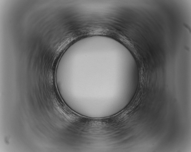 X0000100330298200806261308