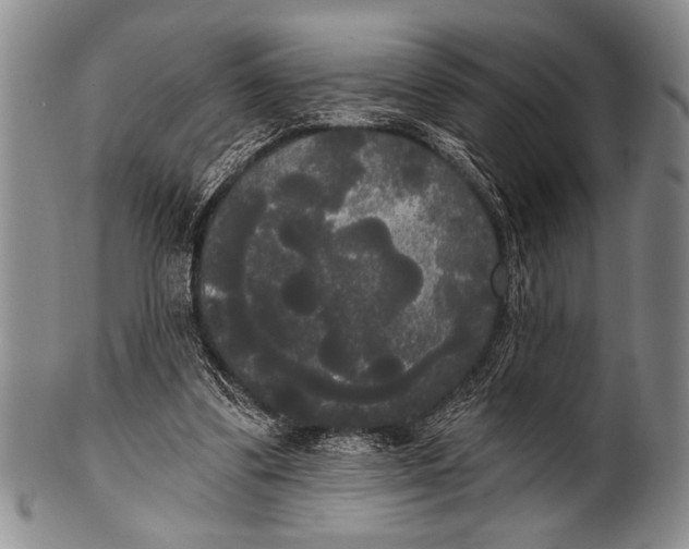 X0000100330299200806261308