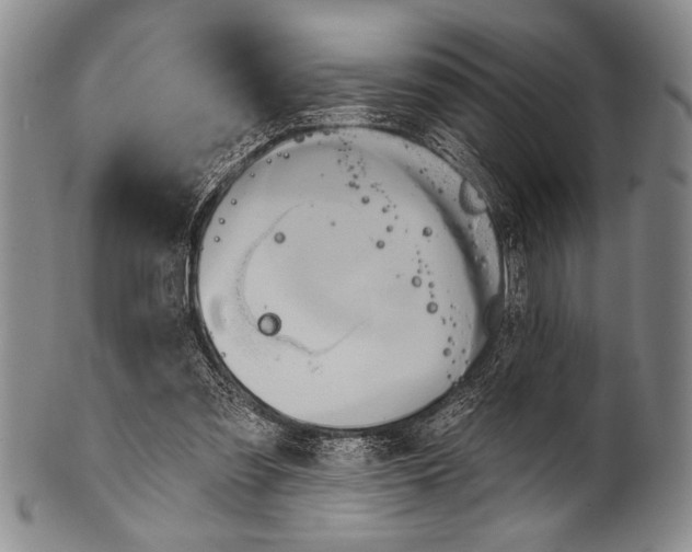 X0000100330301200806261308