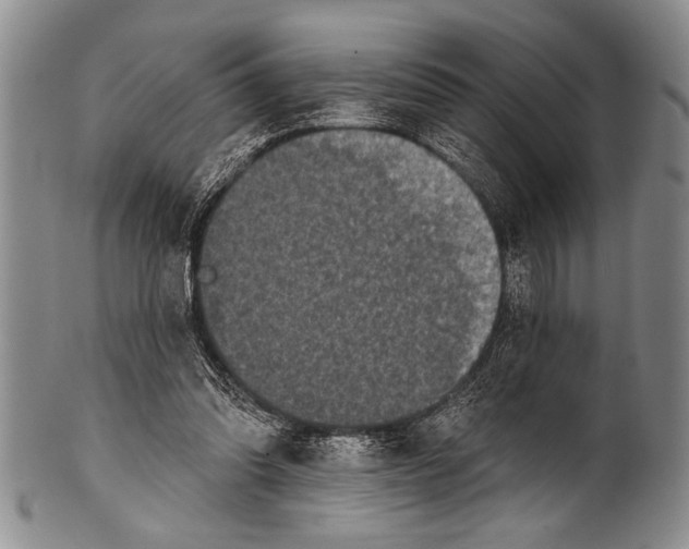 X0000100330302200806261308