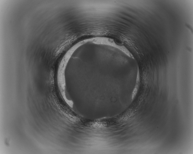 X0000100330303200806261308