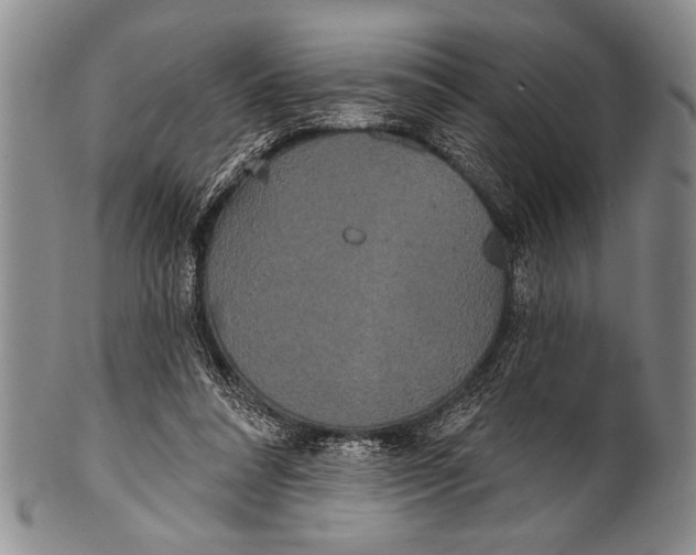 X0000100330304200806261308