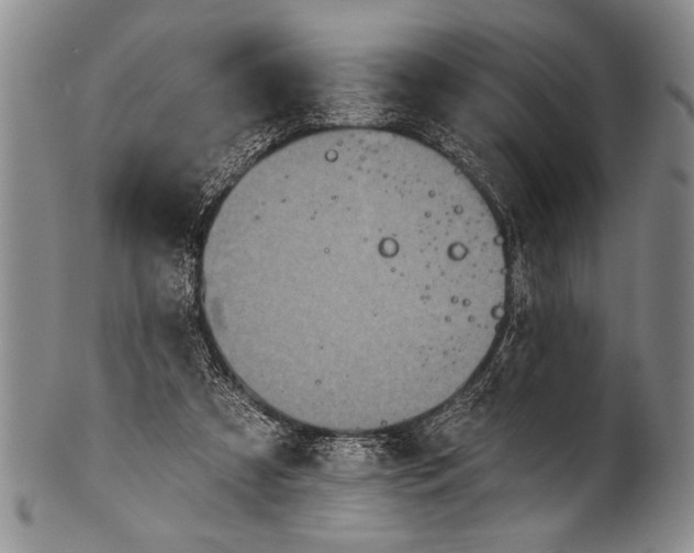 X0000100330305200806261308