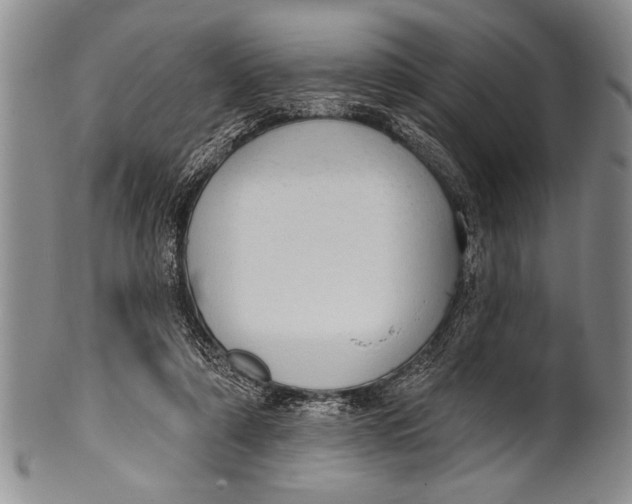 X0000100330306200806261308