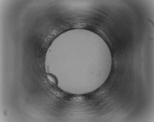 X0000100330307200806261308