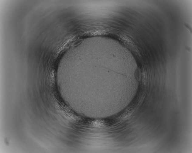 X0000100330308200806261308