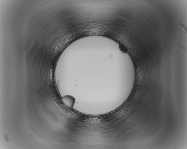 X0000100330310200806261308