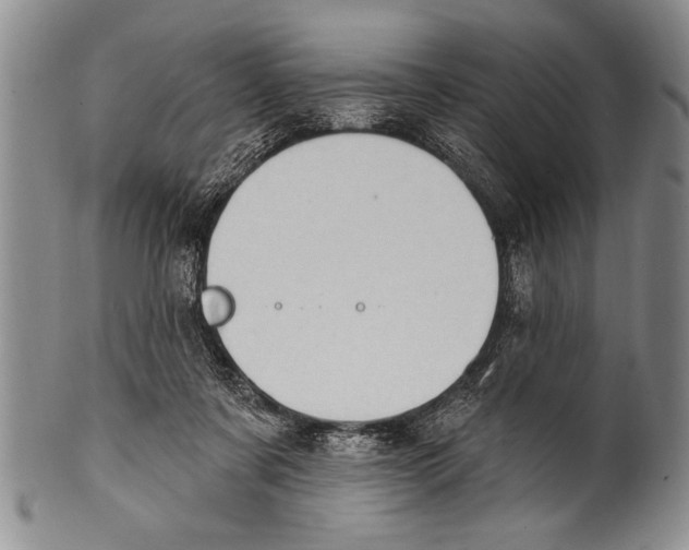 X0000100330311200806261308