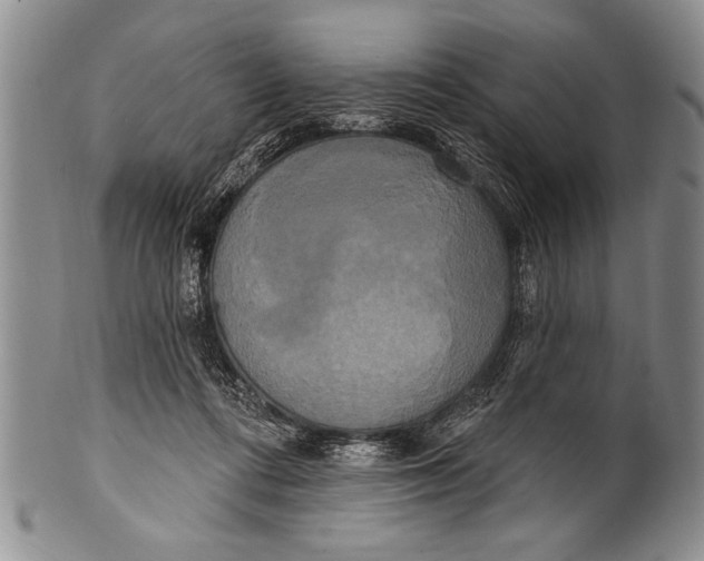 X0000100330312200806261308