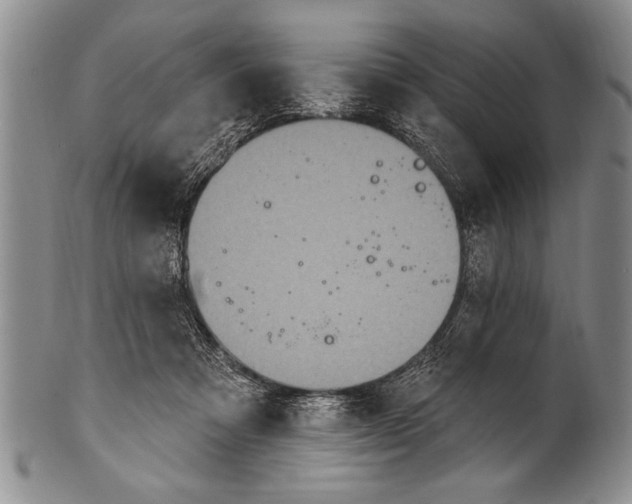 X0000100330313200806261308