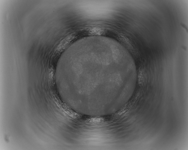 X0000100330314200806261308