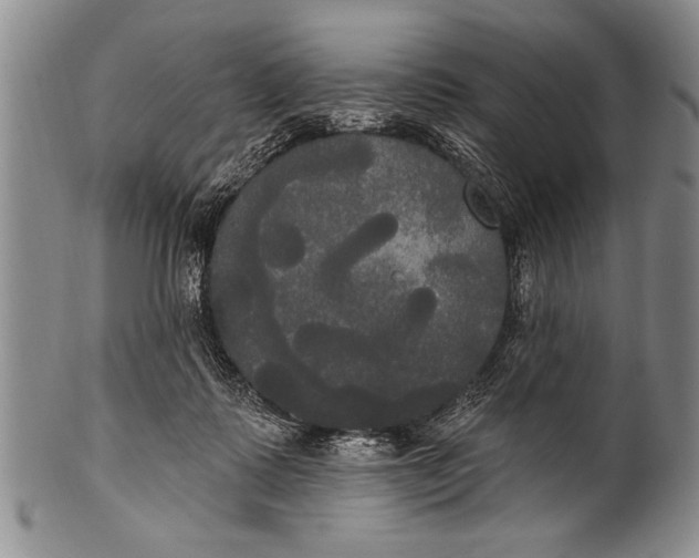 X0000100330315200806261308