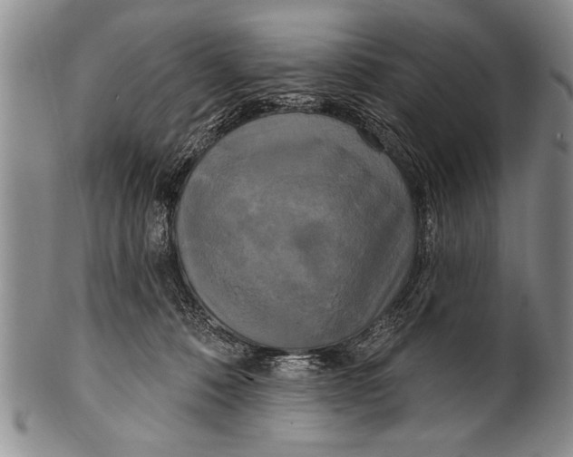 X0000100330320200806261308