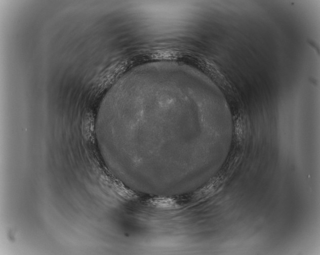 X0000100330322200806261308