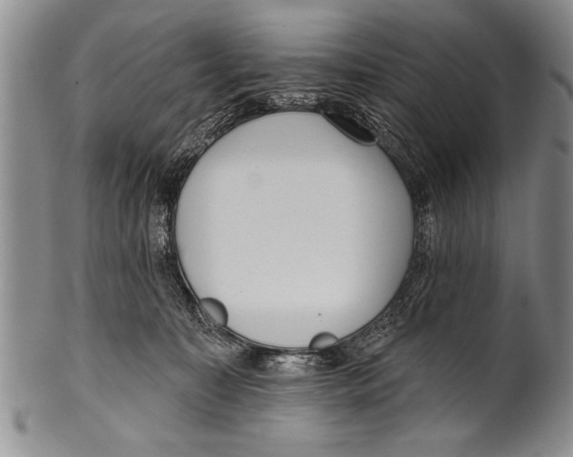 X0000100330323200806261308