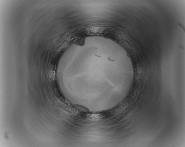 X0000100330324200806261308