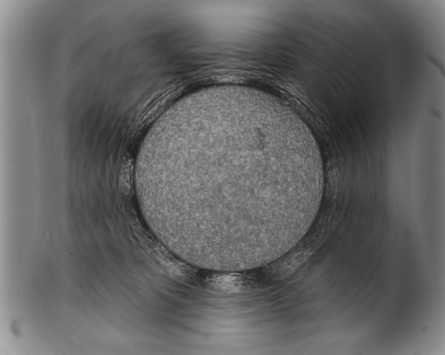 X0000100330325200806261308