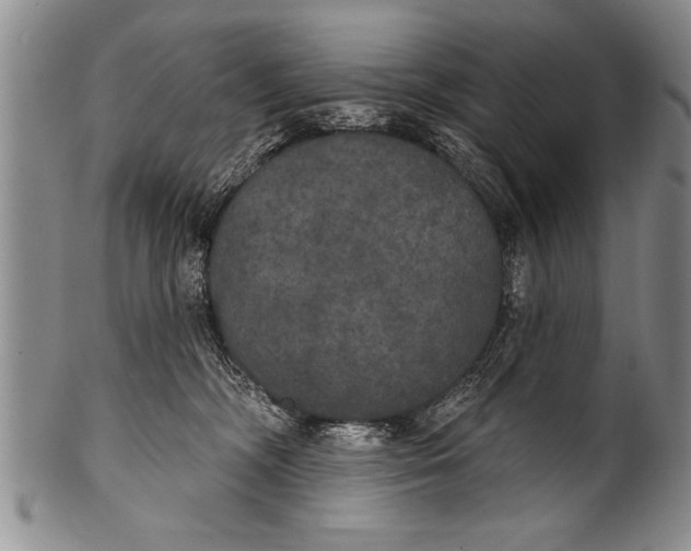 X0000100330326200806261308