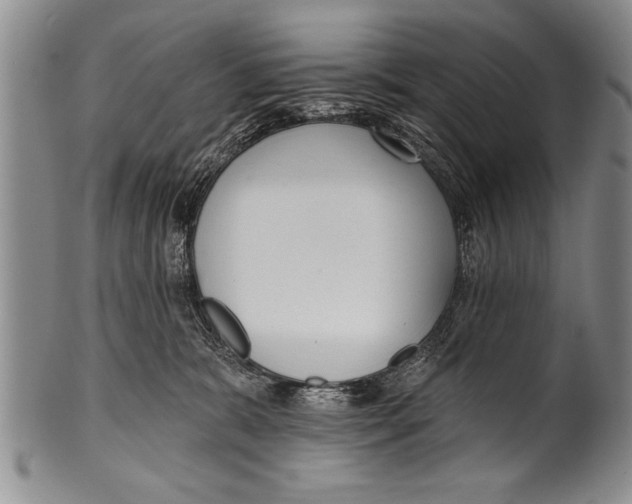 X0000100330327200806261308