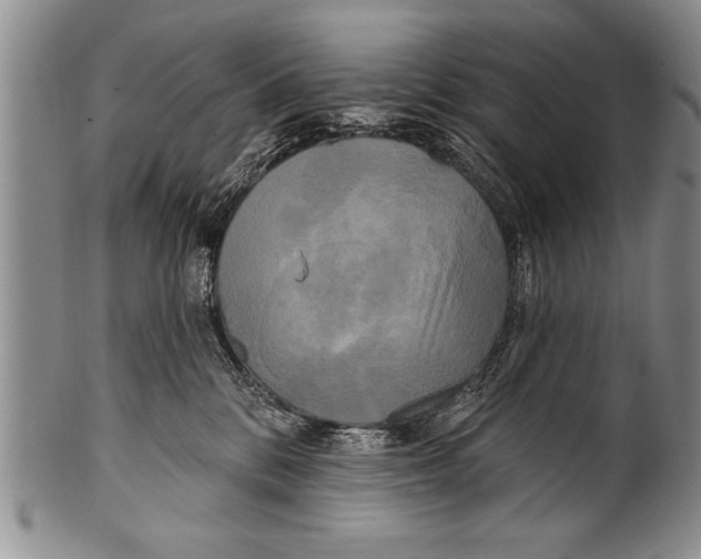 X0000100330328200806261308