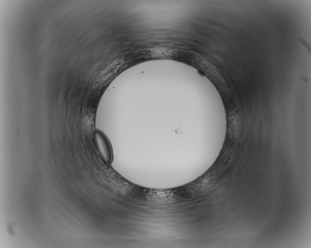 X0000100330329200806261308