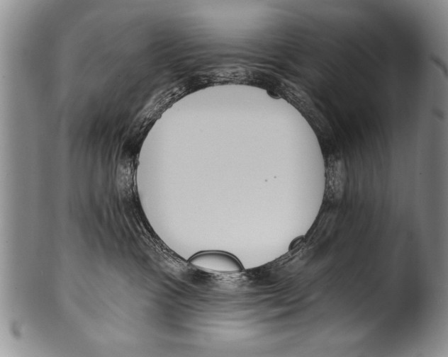 X0000100330333200806261308