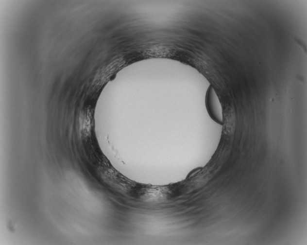 X0000100330334200806261308