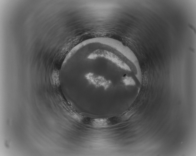 X0000100330335200806261308