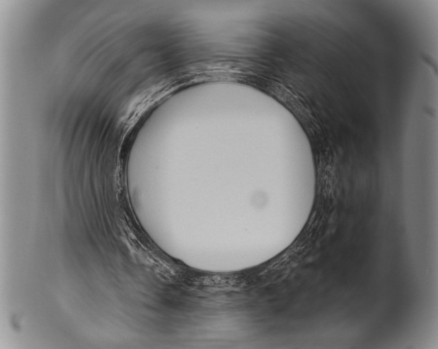 X0000100330338200806261307