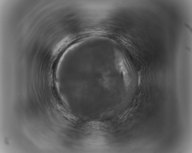 X0000100330339200806261307