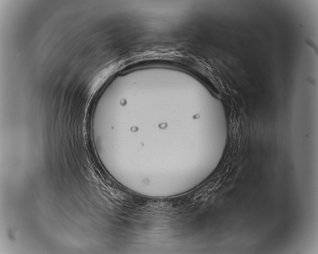 X0000100330340200806261307