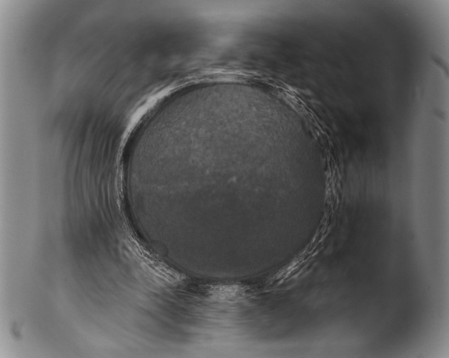 X0000100330342200806261307